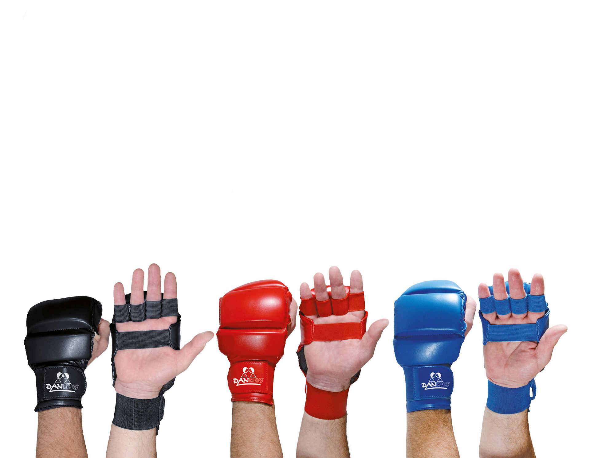 DANRHO protege-poings Ju Jutsu