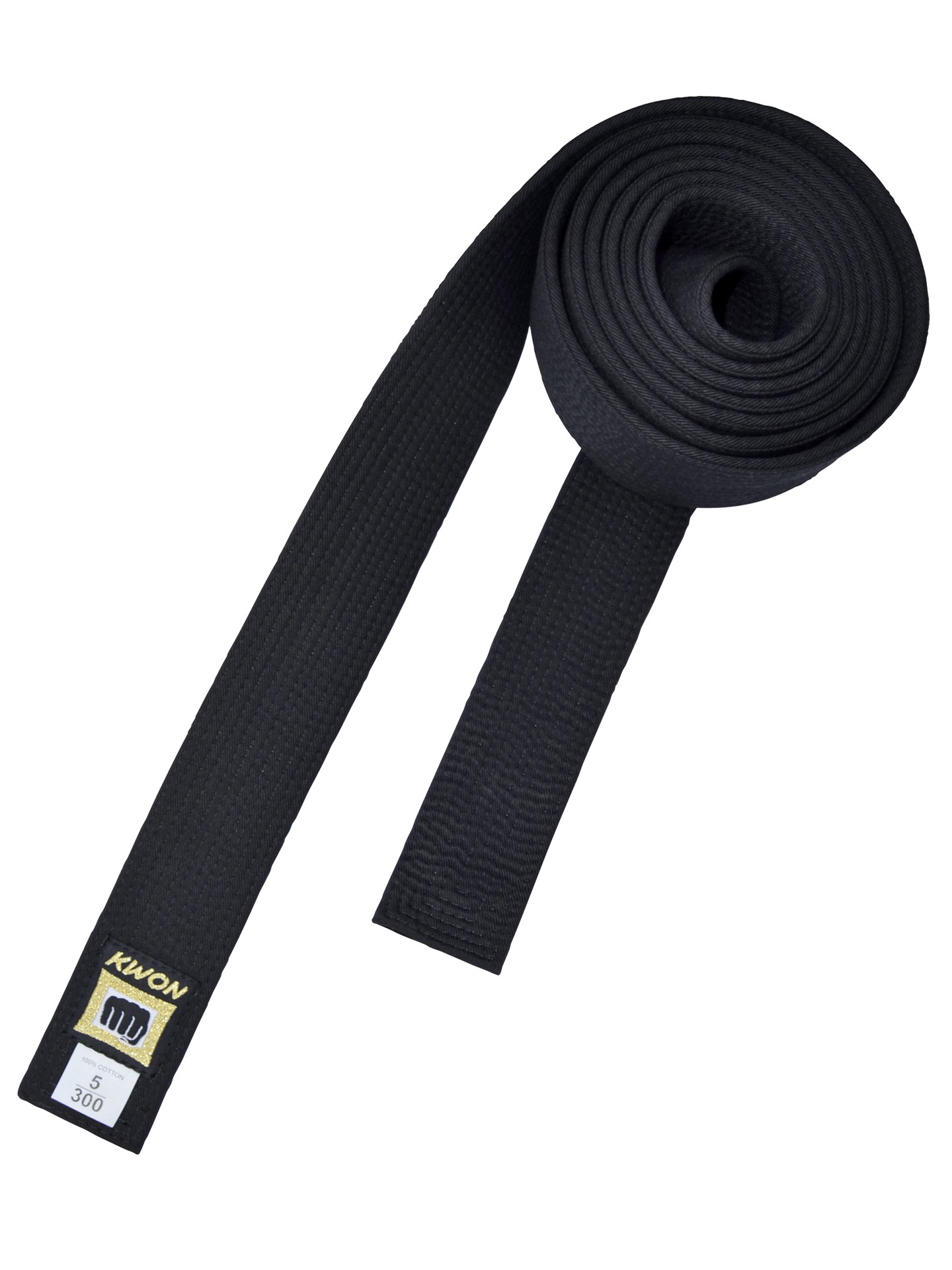 Ceinture noire, ceinture Master
