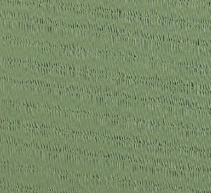 RHODE TATAMI Tapis de Judo  Kasei RG 200