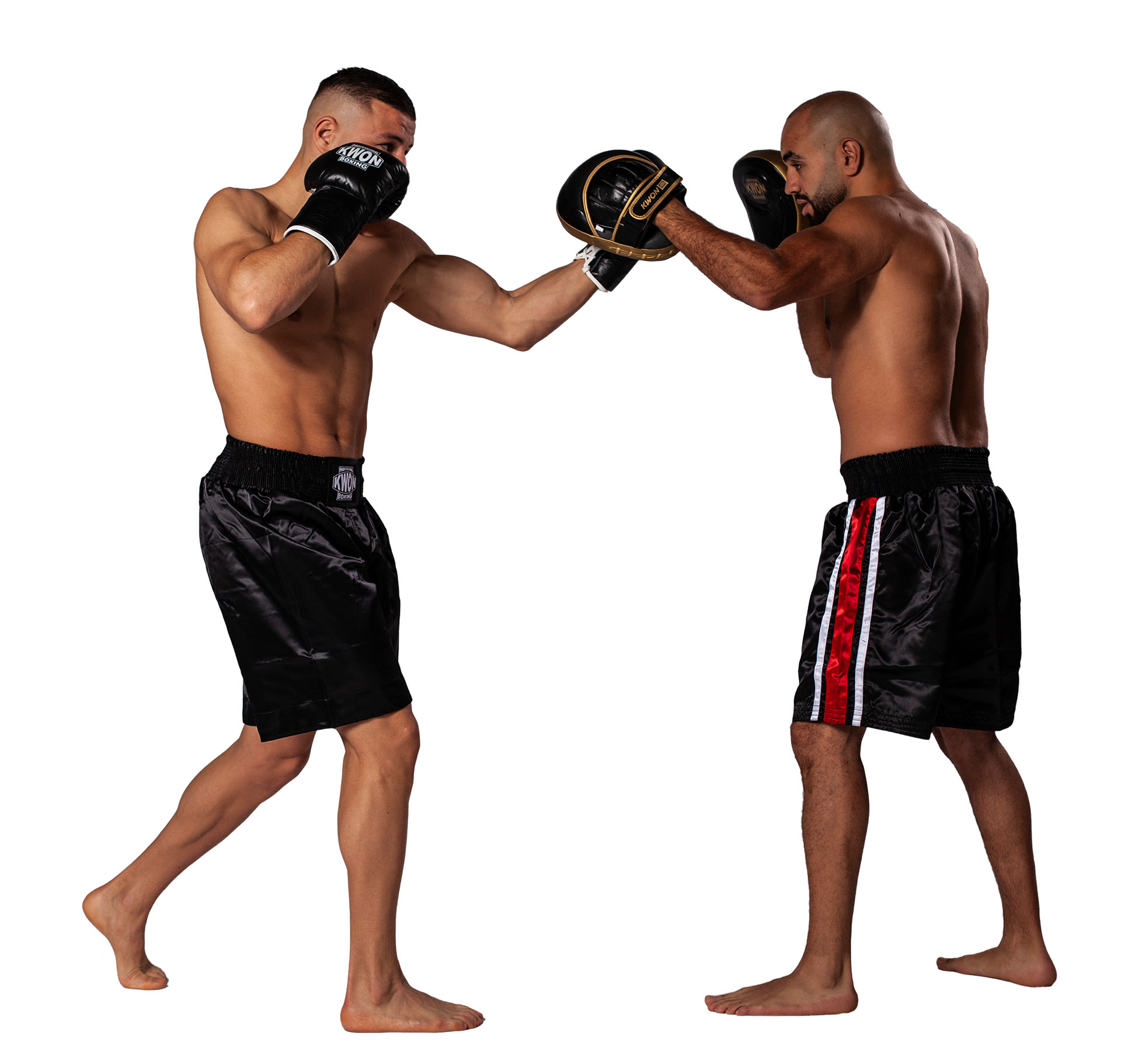 Patte d'ours Ultimate